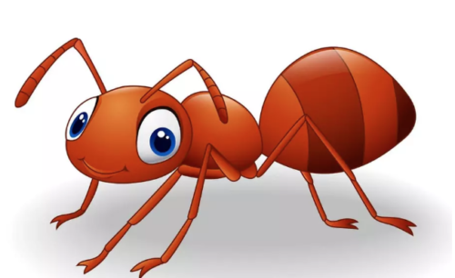 Lire la suite à propos de l’article La fourmi heureuse et productive